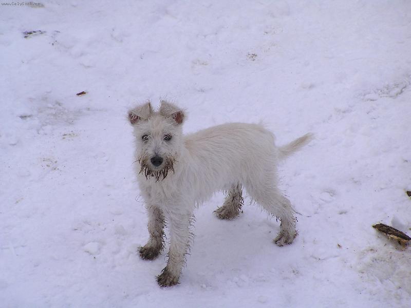 Foto: Moje pras�tko