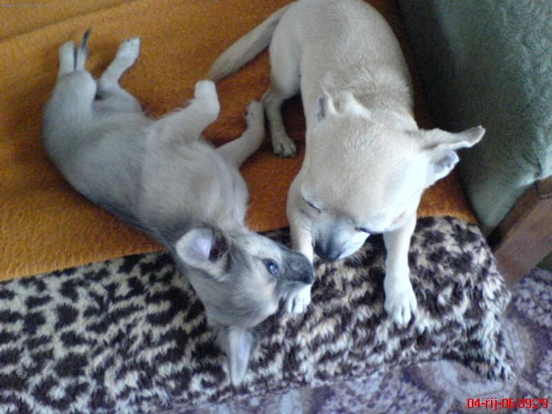 Foto: Anetka a Kevinek-budem se pusinkovat?