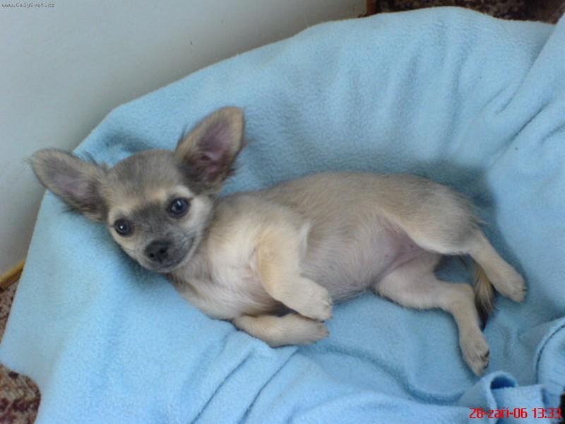 Foto: Anetka-relaxace