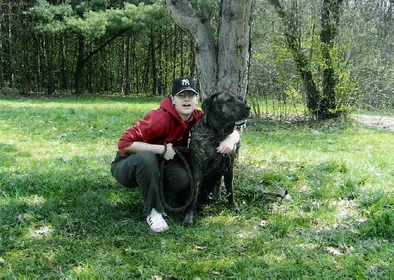 Foto: Baja O�echovsk� sk�la-chovatelsk� stanice From Vampires Blood