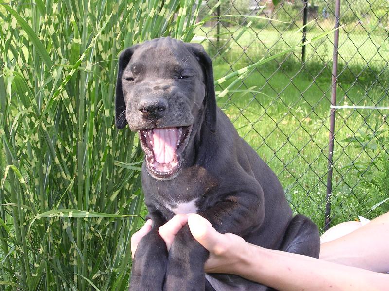 Foto: Um�m se hezky sm�t!-Dolomita z Pern�t�nsk�ch hradeb