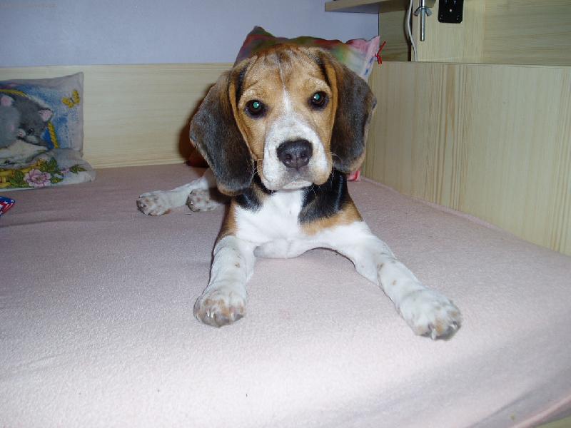 Foto: Velkej Mazl��ek-BERNADETKA