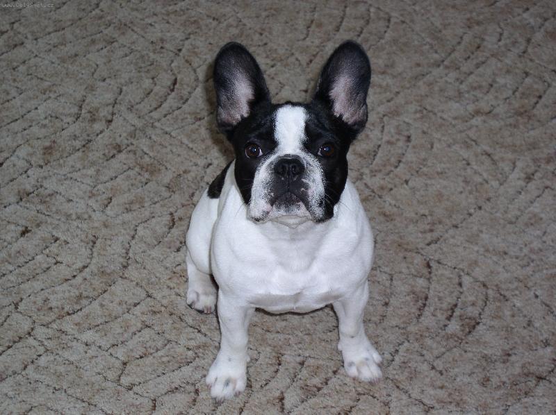 Foto: Nejkr�sn�j�� pohled na sv�t�