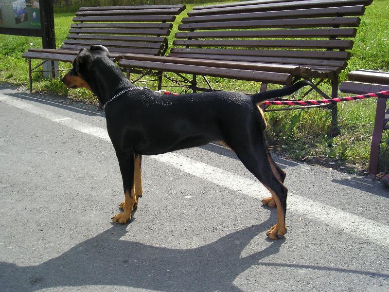 Foto: N�kdy se n�m povede se kr�sn� vystavovat, ale to jen kdy� nejsme na v�stav�