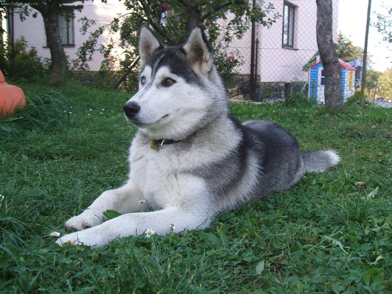 Foto: Naty Jedni�ka-kone�n� v klidu