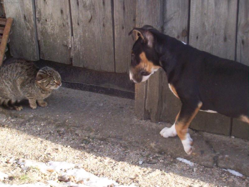 Foto: �o to m��e byt za zviera?