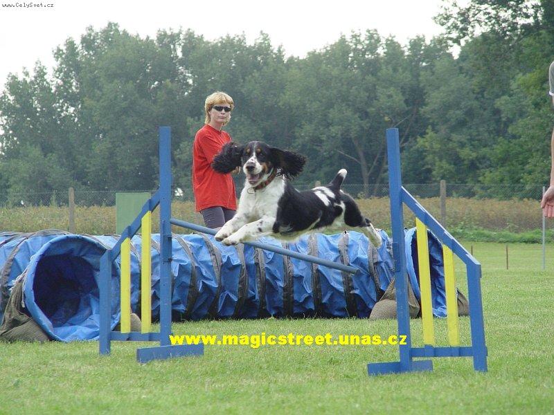 Foto: Agili��k-�pringr je ��asn� sportovec