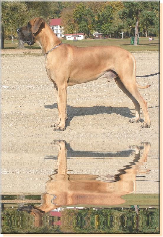 Foto: Dante Rendog-Citu�ky vnou�ek