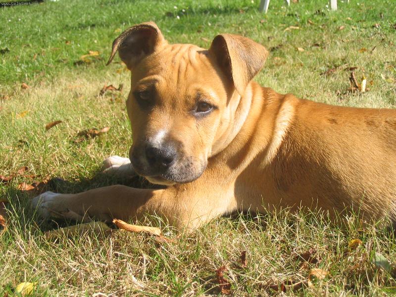 Foto: jsem to j�����-8 tydnu