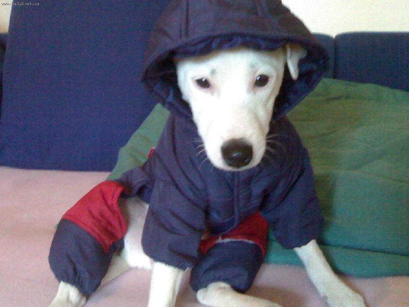 Foto: karl�k-vybaven na zimu