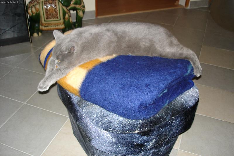 Foto: Arnee-....pot�ebuji prot�hnout z�da