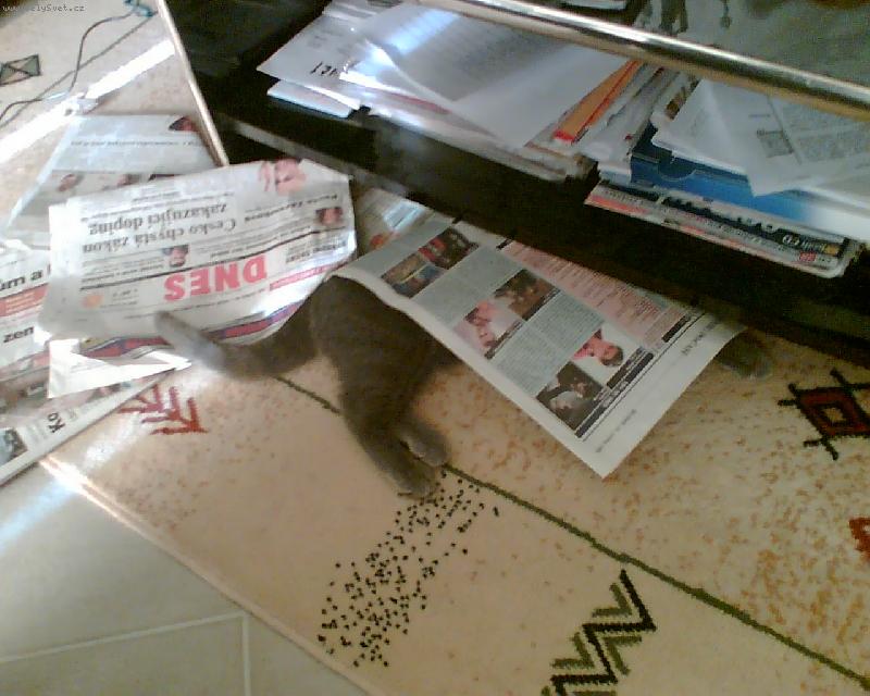 Foto: Arn�ek-�ten�� novin