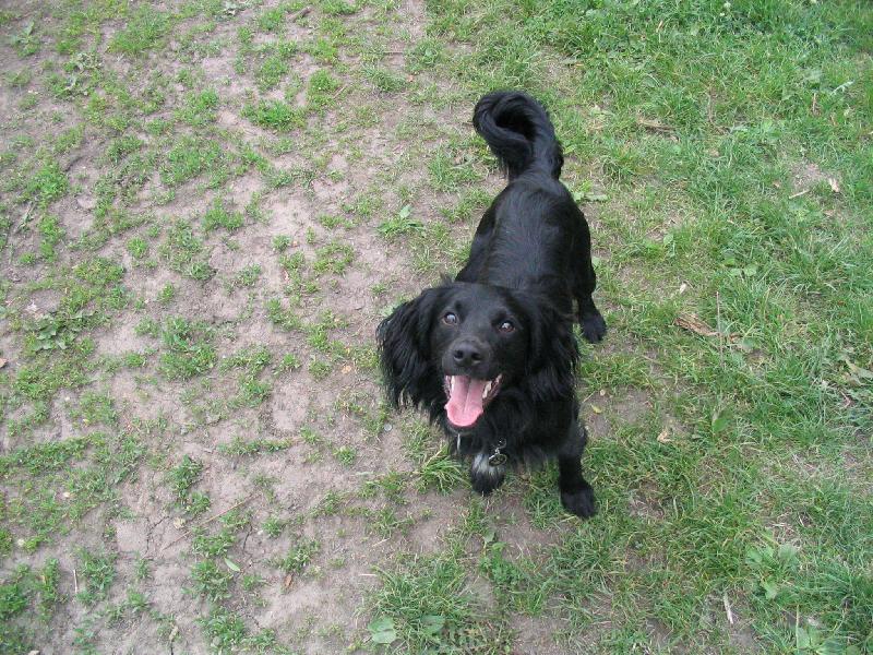 Foto: Jerry-takhle se po��d sm�je:-)