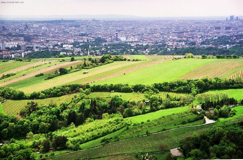 Foto: V�de�-Pohled na V�de� z Kahlenbergu