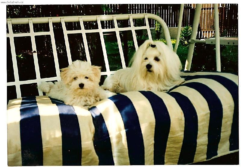 Foto: Letn� pohoda-leno�i na pohovke