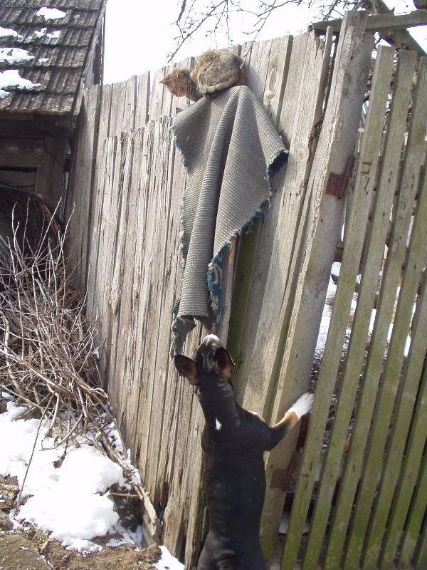 Foto: bojovnice xena