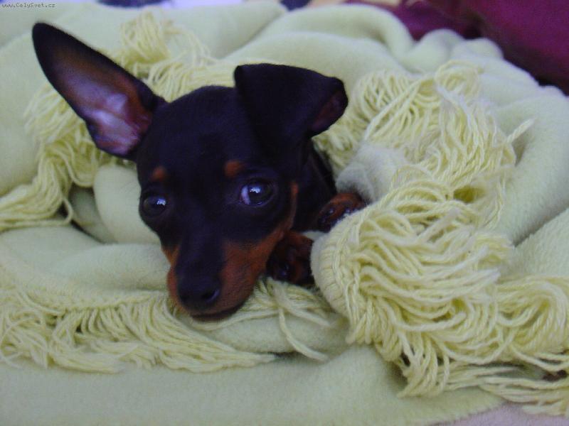 Foto: Uzl��ek 3 m�s�ce