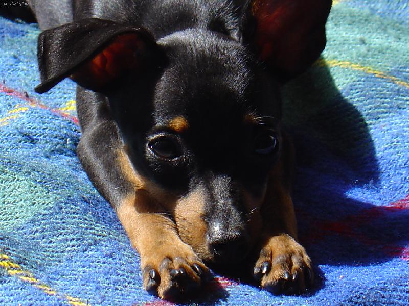 Foto: Vyh��v�n� na slun��ku