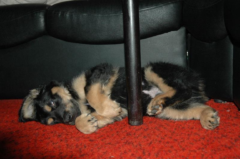 Foto: Takhle se nejl�pe spink�....-opravdu zkuste to ;)