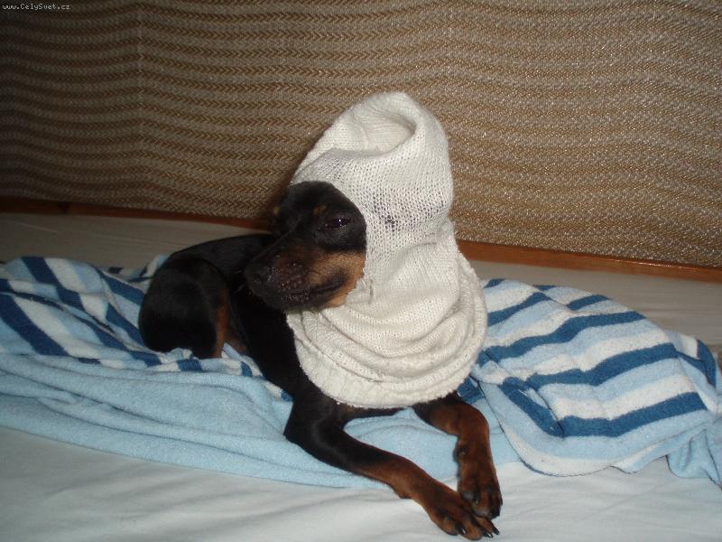 Foto: Jerynek v pono�ce:)