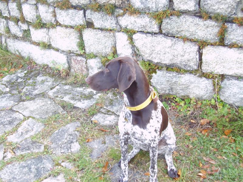 Foto: Na v�let�-Cirra Lavare Moravia alias Afra