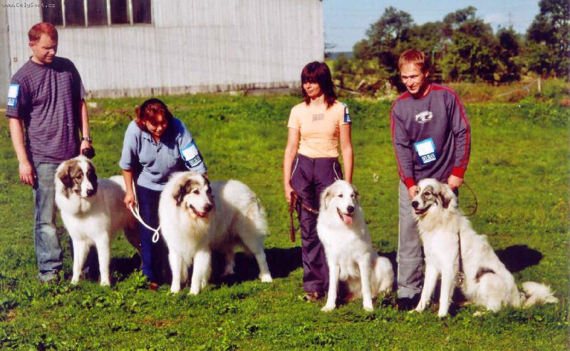 Foto: ICH. CH. Cyro Mountain Almanach-Monty a jeho d�ti- Asan, Genie a Gwendy