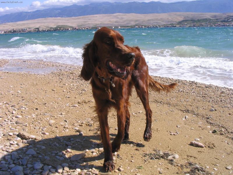 Foto: Mo�e je fajn!-R�zka na ostrov� Pag