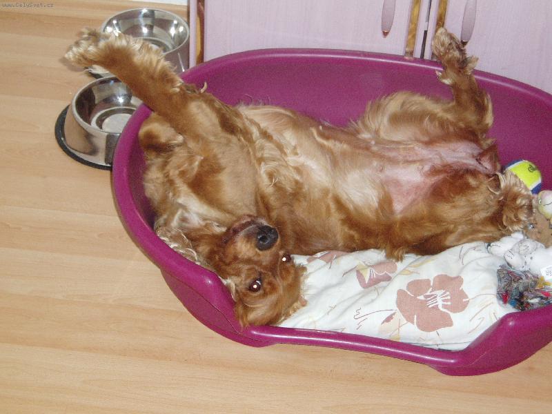 Foto: Vendulka-uuu����� vid�m v�echno vzh�ru nohama:))