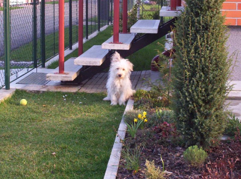 Foto: �mudl��ek jako mal� �t���tko