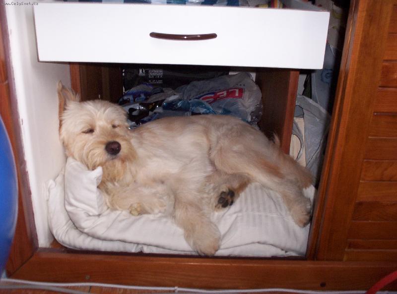 Foto: �mudla - sk���ov� po�itk��