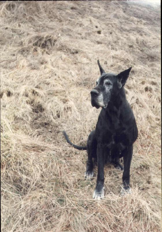 Foto: Aigi Uttis - bab�a-Aigi - bab�a