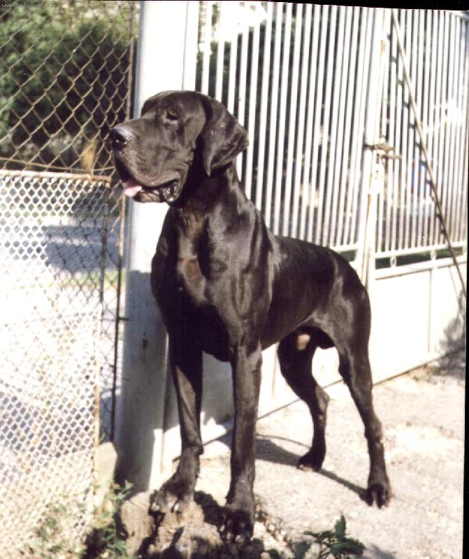 Foto: ICH Cecil Uttis-Cecilek