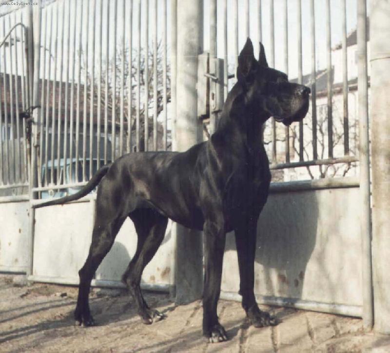 Foto: ICH Centa Uttis-Centa