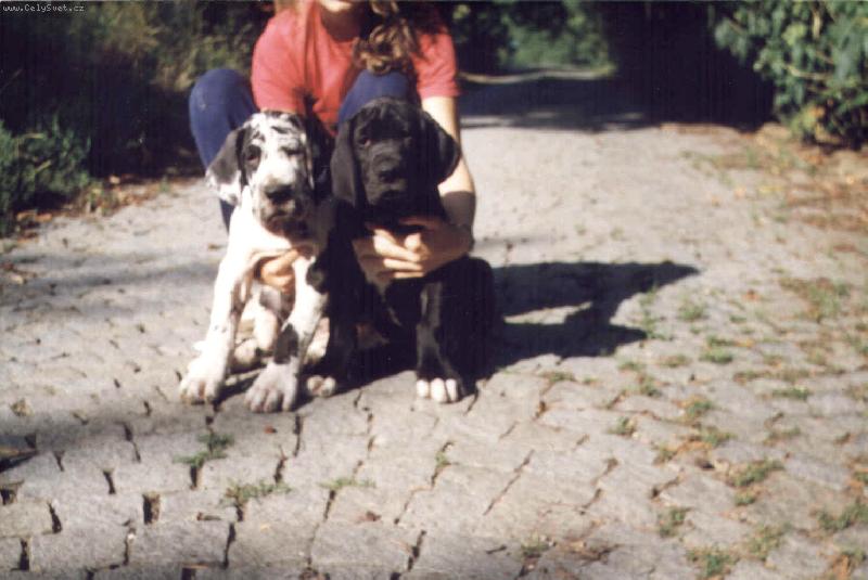 Foto: Huxley + Hubert Uttis-2x H Uttis