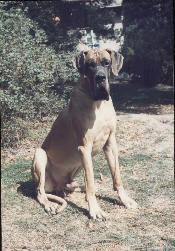 Foto: Peer von Beelen