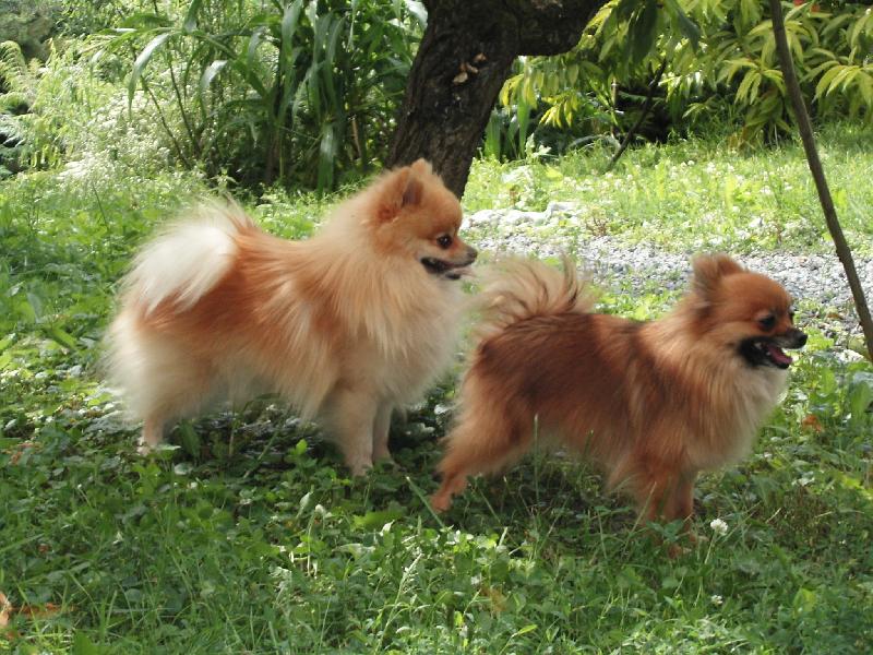 Foto: �pic-u p�ipu�t�n�