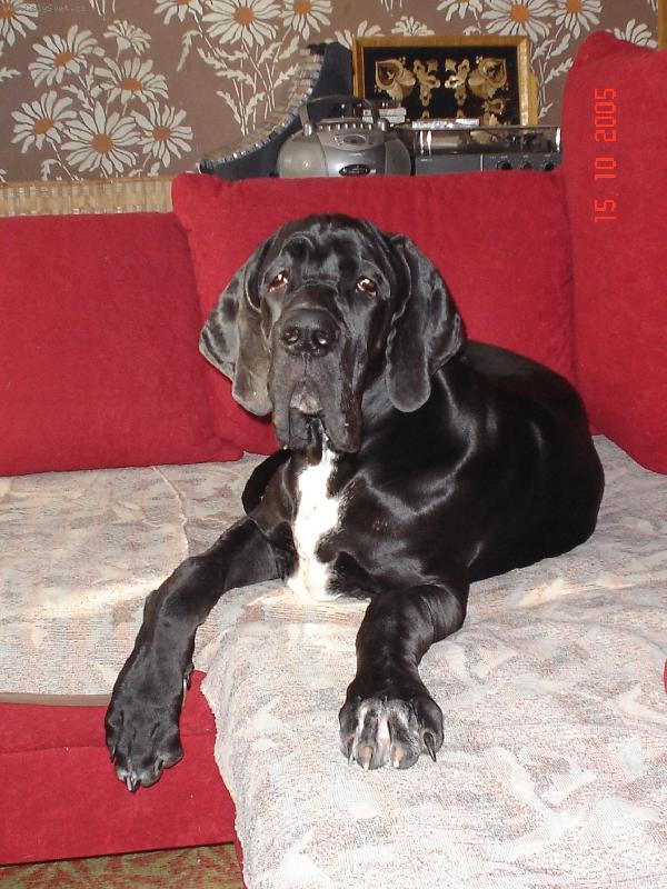 Foto: Cyrda - seda�ka je seda�ka.....