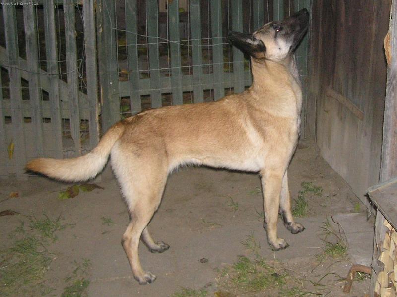 Foto: Arinka-copak to asi hled�?