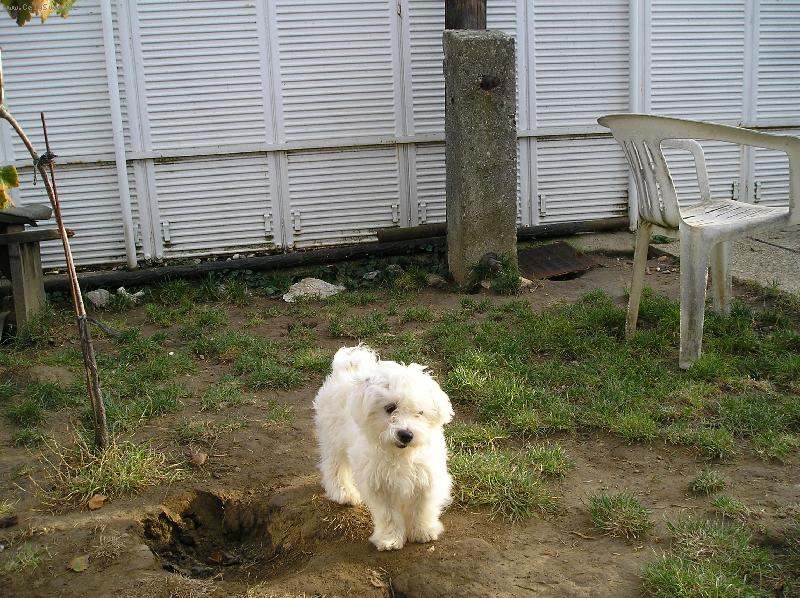 Foto: DAGLES-ja som Vendy pri tom pomahal