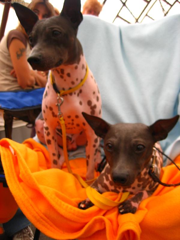 Foto: Luk�ek-Luk�ek s maminkou Megynkou