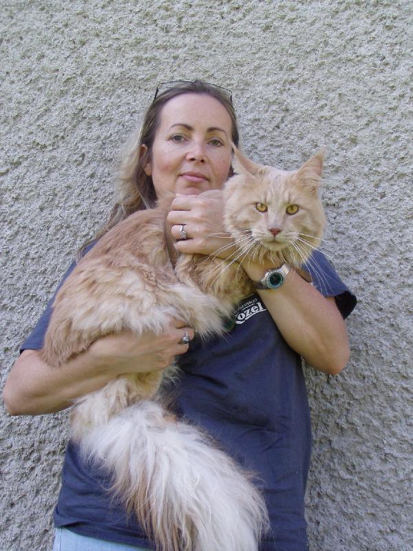 Foto: Mainsk� m�val� kocour Baileys-Je velik�...