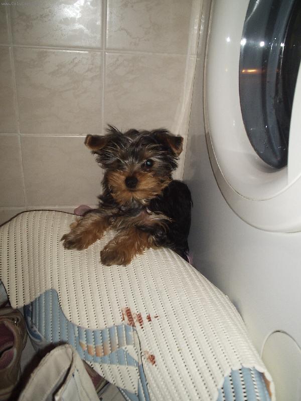 Foto: Deni-3 m�s�ce