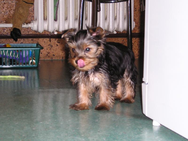 Foto: Mlsoun- Na�e Jessinka