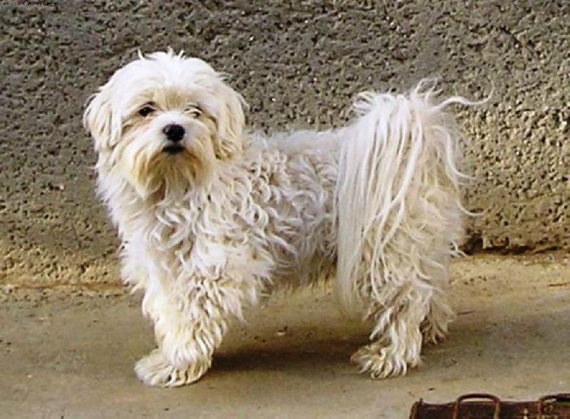 Foto: CHARLY-u� daj pokoj s tym fotenim