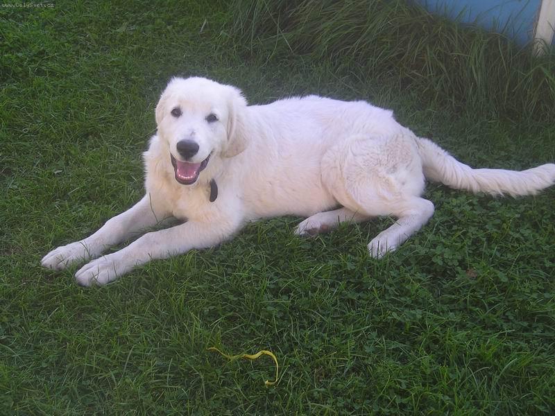 Foto: Gwen 6 m�s�c�-Gwen 6 m�s�c�