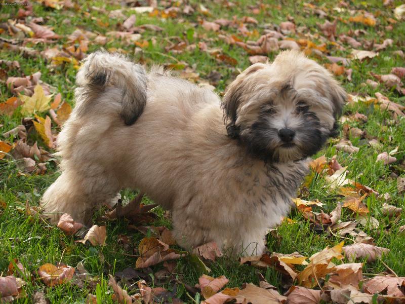 Foto: Angenka-Na�e 3 m�s��n� miminko =)