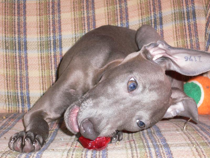 Foto: Brune�ek-Tak to je zase n� krasavec:)