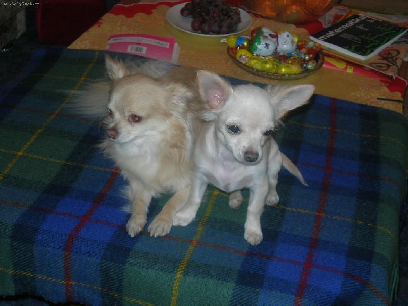 Foto: My dva-to n�m to spolu ale slu�� co?