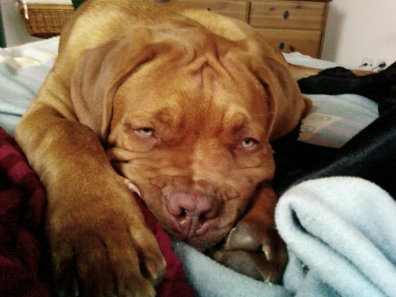 Foto: Gianluigi-Jsem t���k ale t��k unaven�