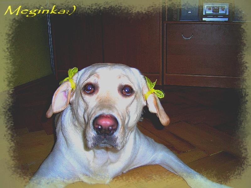 Foto: Meginka s cul��kama:))